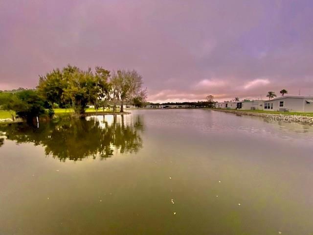 10826 Freedom Drive, Port Richey, FL 34668 Photo