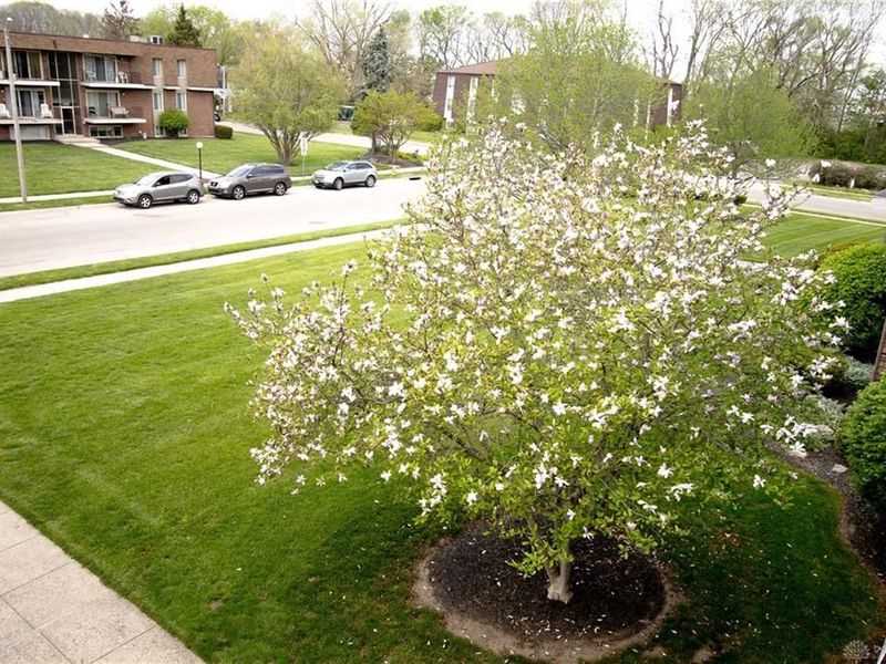 1612 Mars Hill Drive, Unit F, West Carrollton, OH 45449 Photo 7