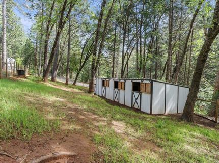 3586 Freegold Dr, Camino, CA 95709 Photo