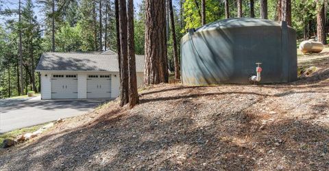 3586 Freegold Dr, Camino, CA 95709 Photo