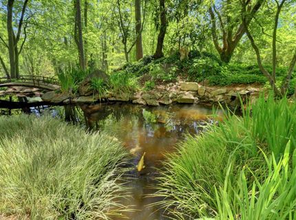 14511 Clear Creek Pl, Grass Valley, CA 95949 Photo