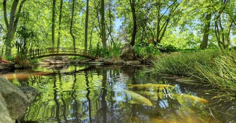 14511 Clear Creek Pl, Grass Valley, CA 95949 Photo