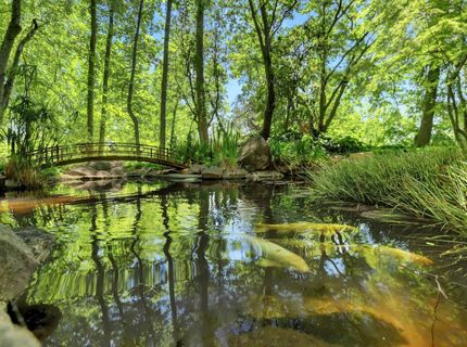 14511 Clear Creek Pl, Grass Valley, CA 95949 Photo