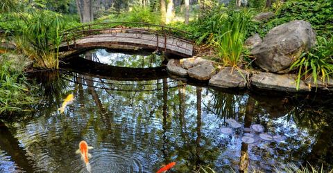 14511 Clear Creek Pl, Grass Valley, CA 95949 Photo