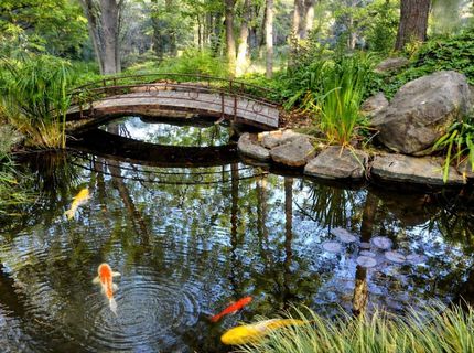 14511 Clear Creek Pl, Grass Valley, CA 95949 Photo