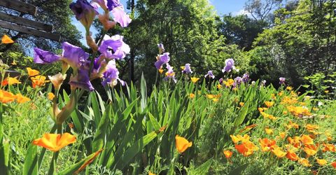 14511 Clear Creek Pl, Grass Valley, CA 95949 Photo