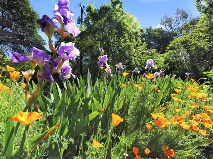 14511 Clear Creek Pl, Grass Valley, CA 95949 Photo