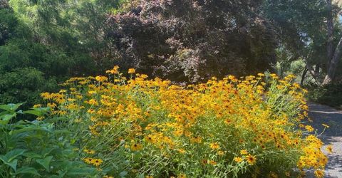 14511 Clear Creek Pl, Grass Valley, CA 95949 Photo