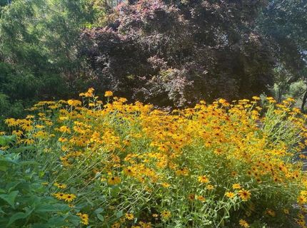 14511 Clear Creek Pl, Grass Valley, CA 95949 Photo