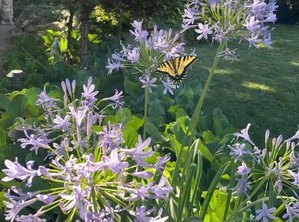 14511 Clear Creek Pl, Grass Valley, CA 95949 Photo