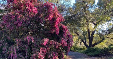 14511 Clear Creek Pl, Grass Valley, CA 95949 Photo