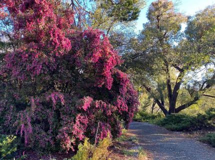 14511 Clear Creek Pl, Grass Valley, CA 95949 Photo