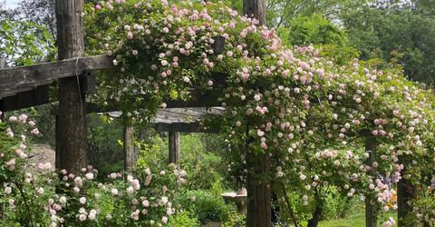 14511 Clear Creek Pl, Grass Valley, CA 95949 Photo