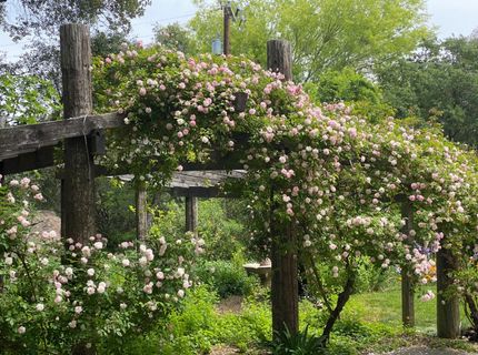 14511 Clear Creek Pl, Grass Valley, CA 95949 Photo