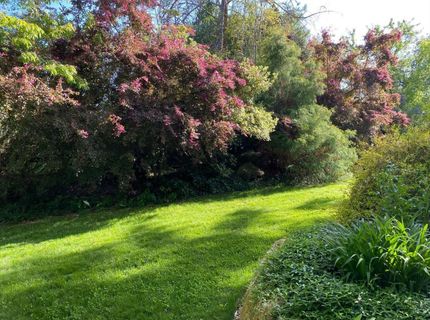 14511 Clear Creek Pl, Grass Valley, CA 95949 Photo