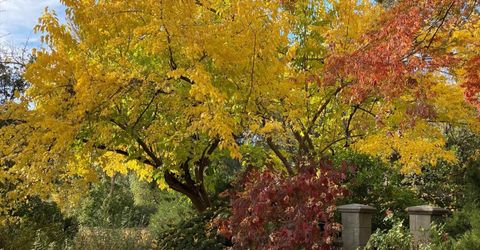 14511 Clear Creek Pl, Grass Valley, CA 95949 Photo