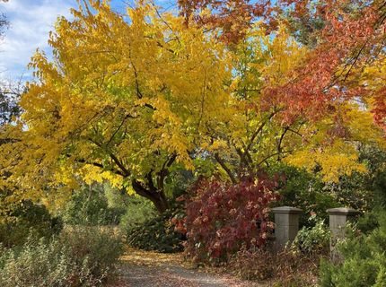 14511 Clear Creek Pl, Grass Valley, CA 95949 Photo