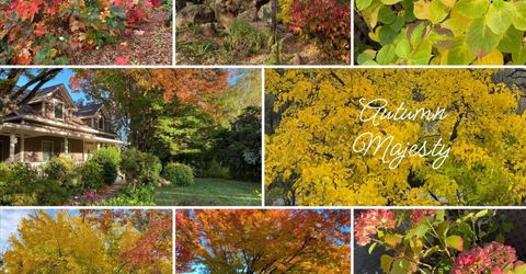 14511 Clear Creek Pl, Grass Valley, CA 95949 Photo