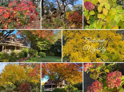 14511 Clear Creek Pl, Grass Valley, CA 95949 Photo