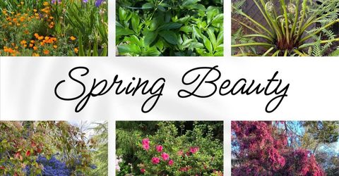 14511 Clear Creek Pl, Grass Valley, CA 95949 Photo