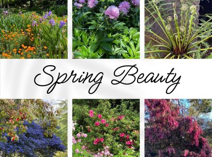 14511 Clear Creek Pl, Grass Valley, CA 95949 Photo