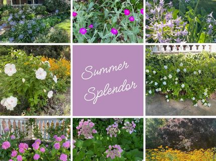 14511 Clear Creek Pl, Grass Valley, CA 95949 Photo