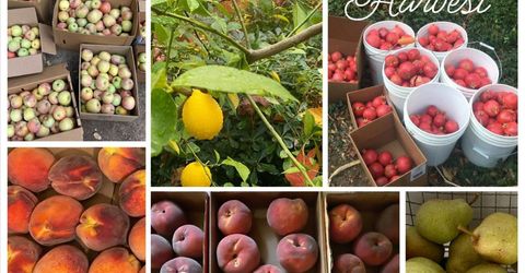 14511 Clear Creek Pl, Grass Valley, CA 95949 Photo