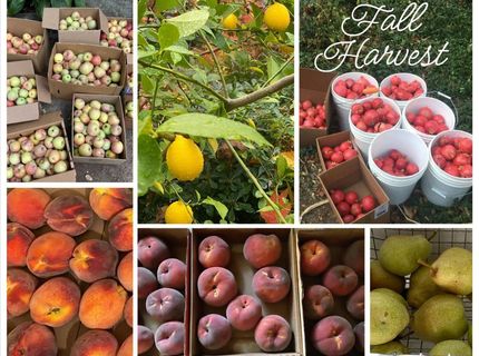 14511 Clear Creek Pl, Grass Valley, CA 95949 Photo