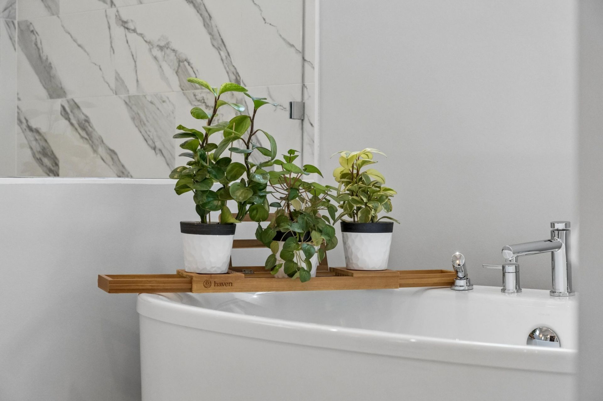 305 Gunboat Lane Photo 43