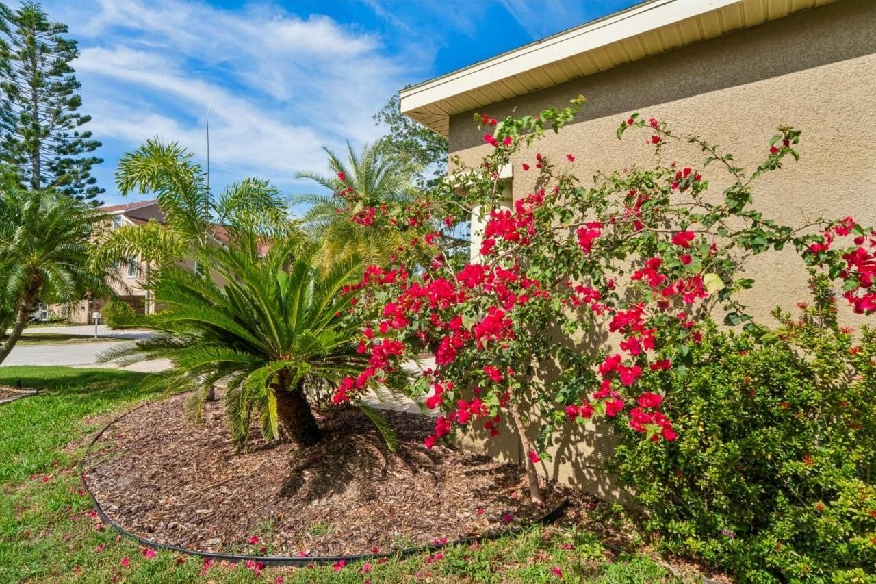 7340 Brightwaters Court, New Port Richey, FL 34652 Photo