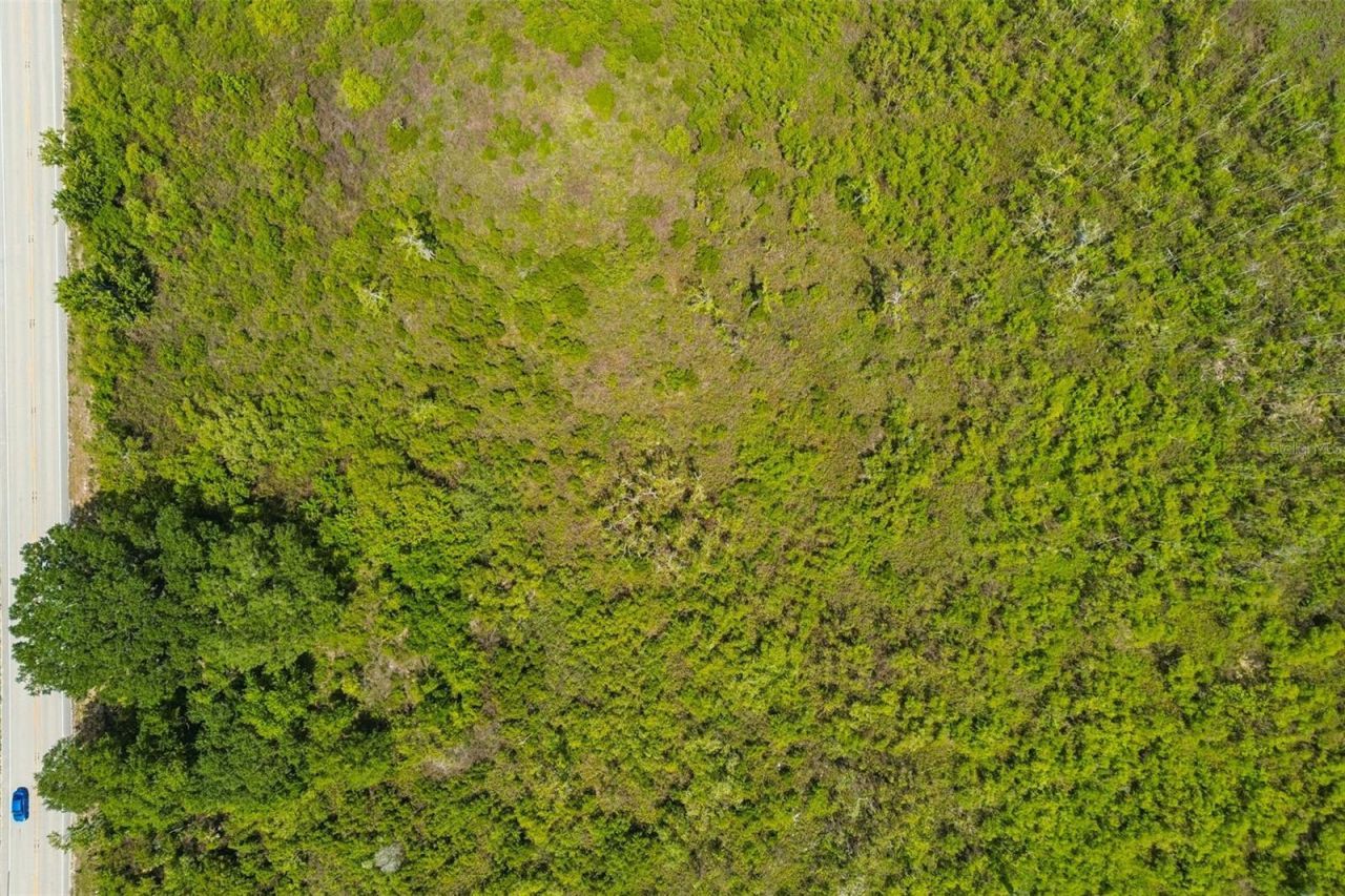 Cr-559, Auburndale, FL 33823 Photo