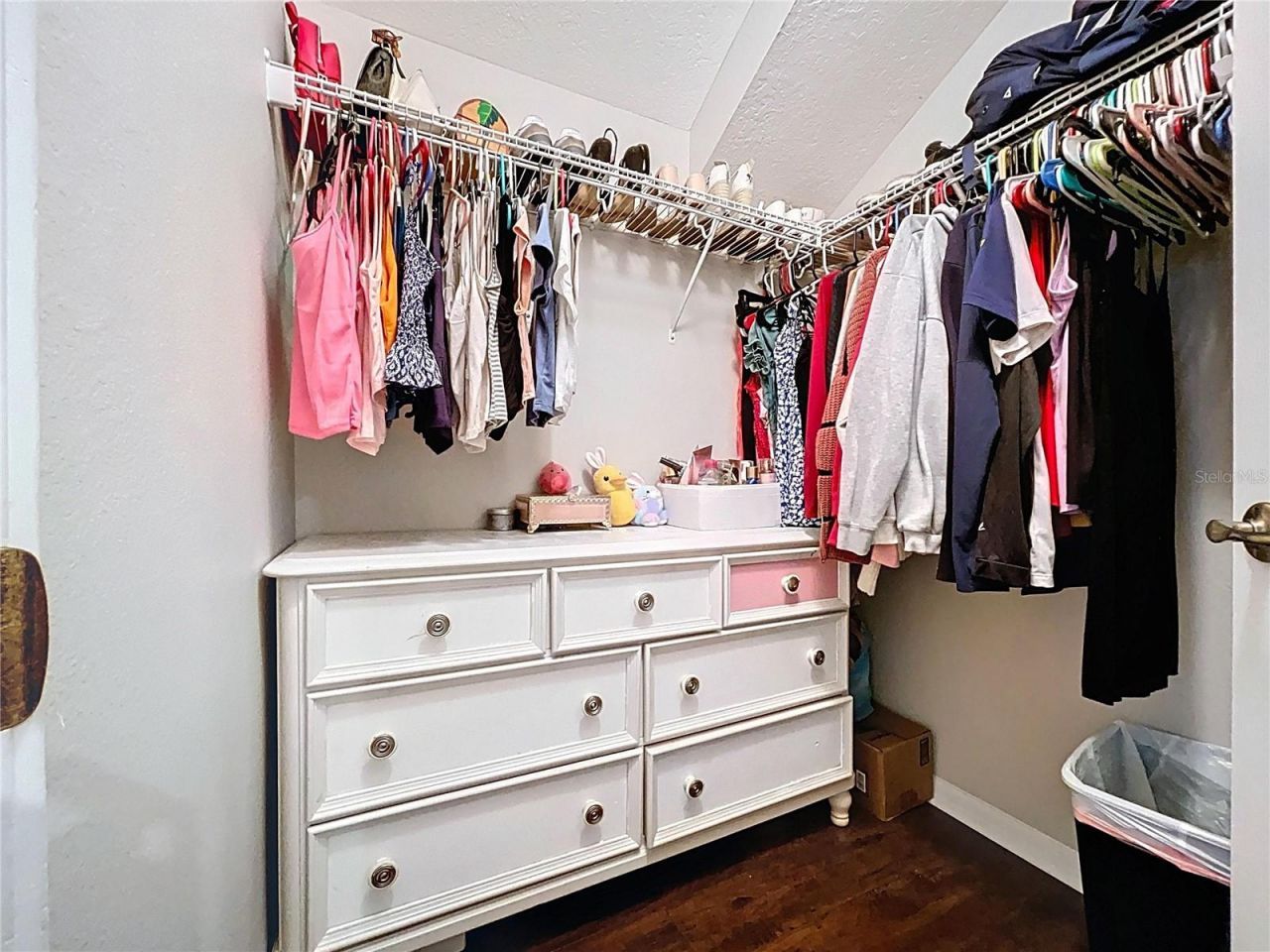 19540 Sunset Bay Drive, Land O Lakes, FL 34638 Photo