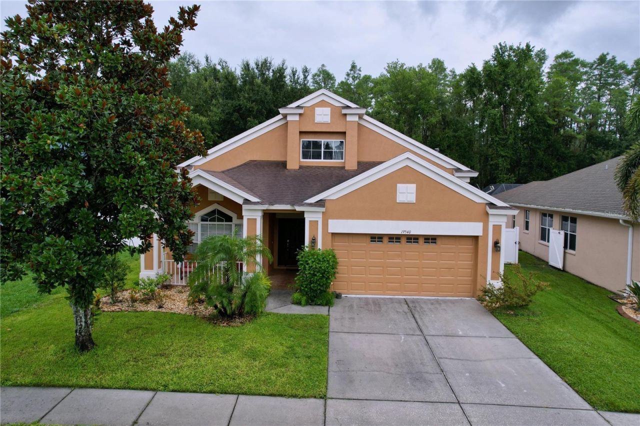 19540 Sunset Bay Drive, Land O Lakes, FL 34638 Photo