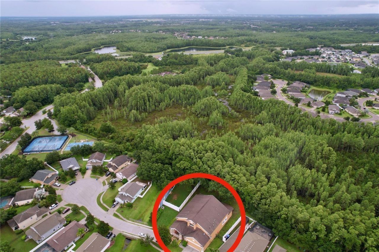 19540 Sunset Bay Drive, Land O Lakes, FL 34638 Photo