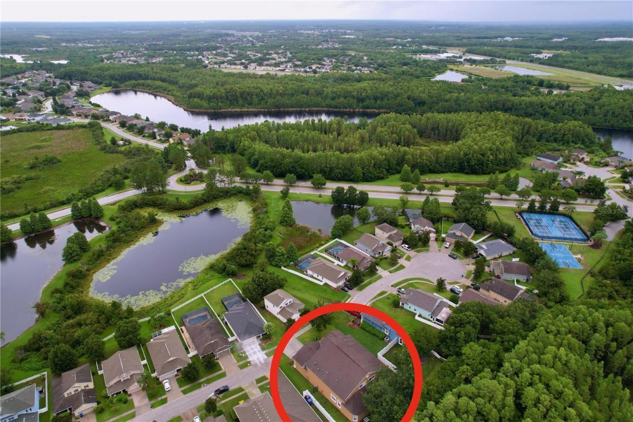 19540 Sunset Bay Drive, Land O Lakes, FL 34638 Photo