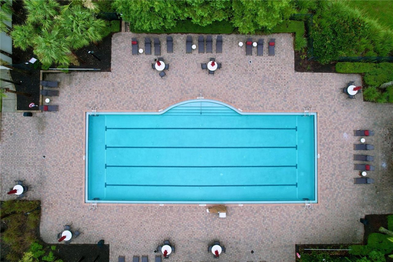 19540 Sunset Bay Drive, Land O Lakes, FL 34638 Photo