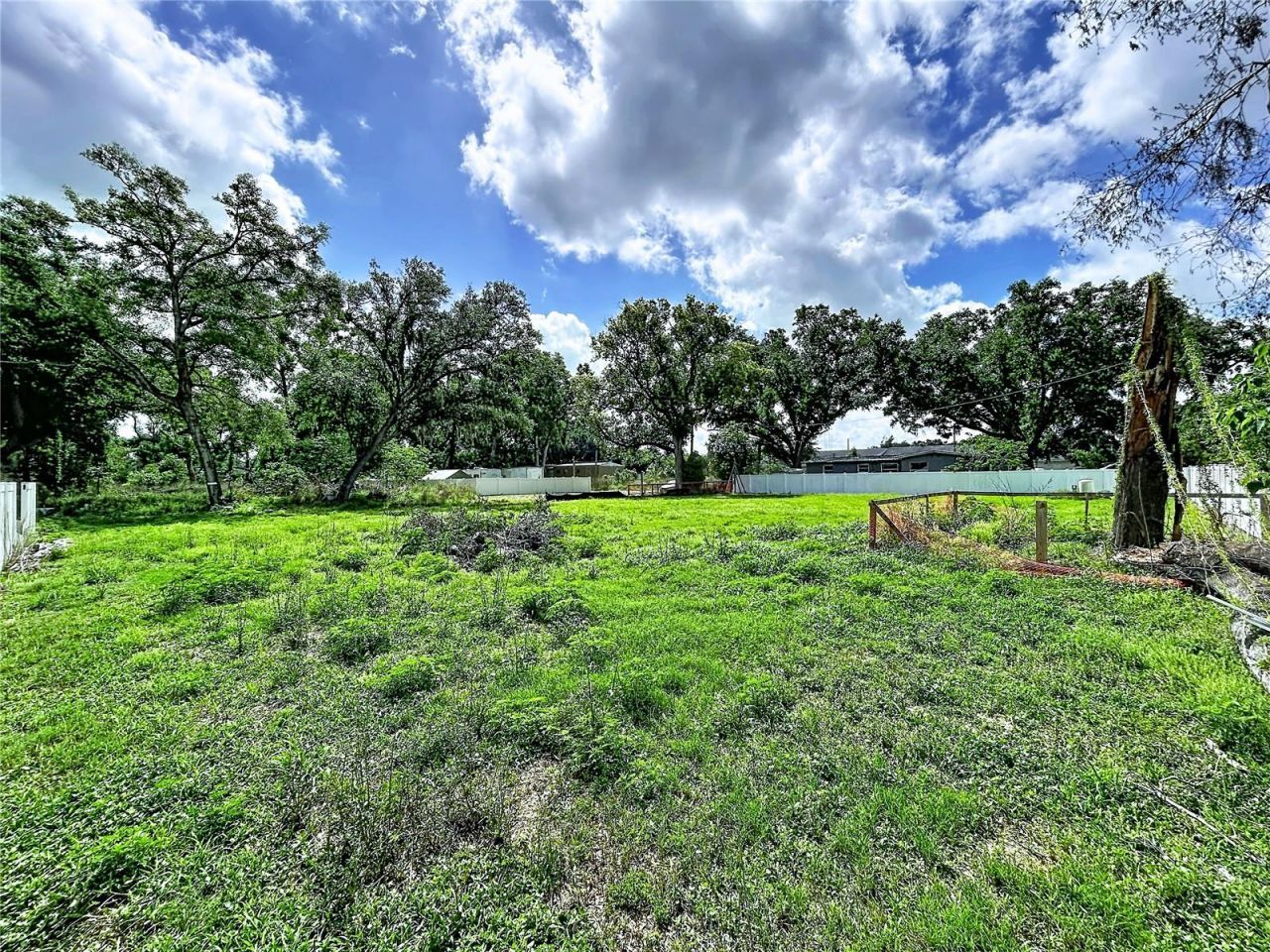 Robson, Seffner, FL 33584 Photo