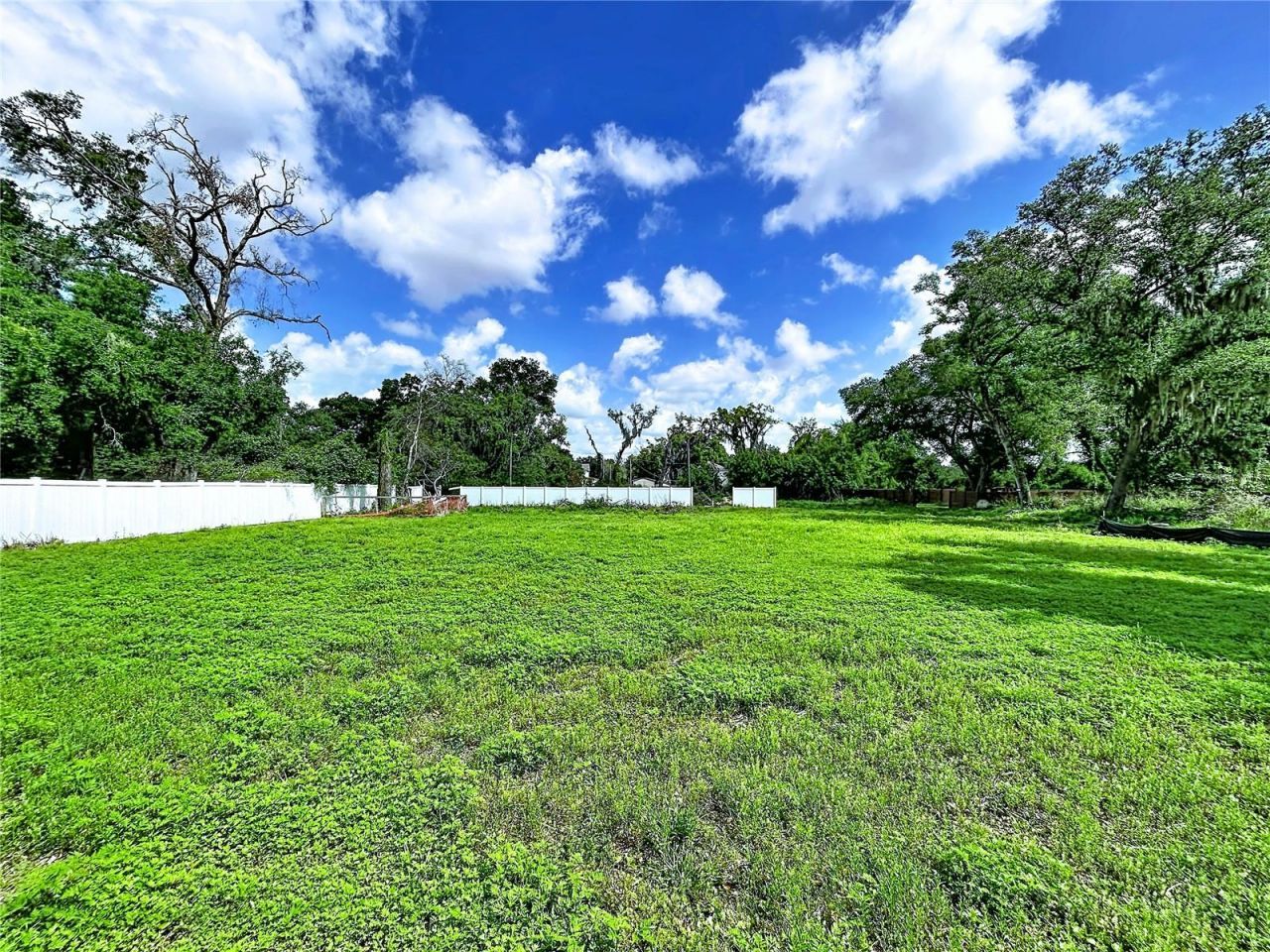 Robson, Seffner, FL 33584 Photo