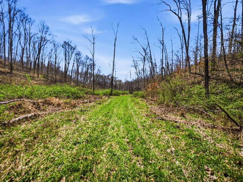 5123 State Route 13 SE, Corning, OH 43730 Photo 107