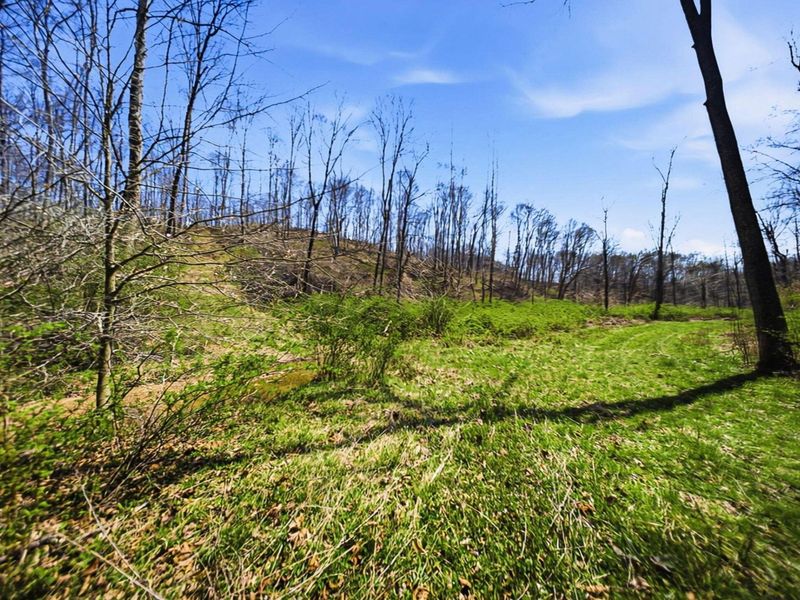 5123 State Route 13 SE, Corning, OH 43730 Photo 109