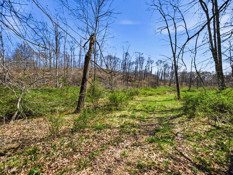 5123 State Route 13 SE, Corning, OH 43730 Photo 111