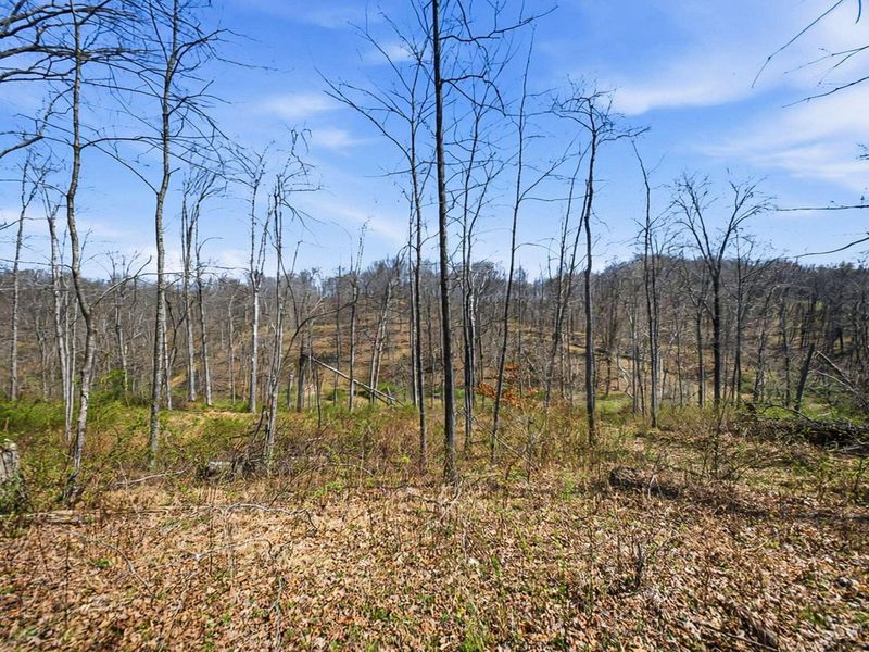 5123 State Route 13 SE, Corning, OH 43730 Photo 112