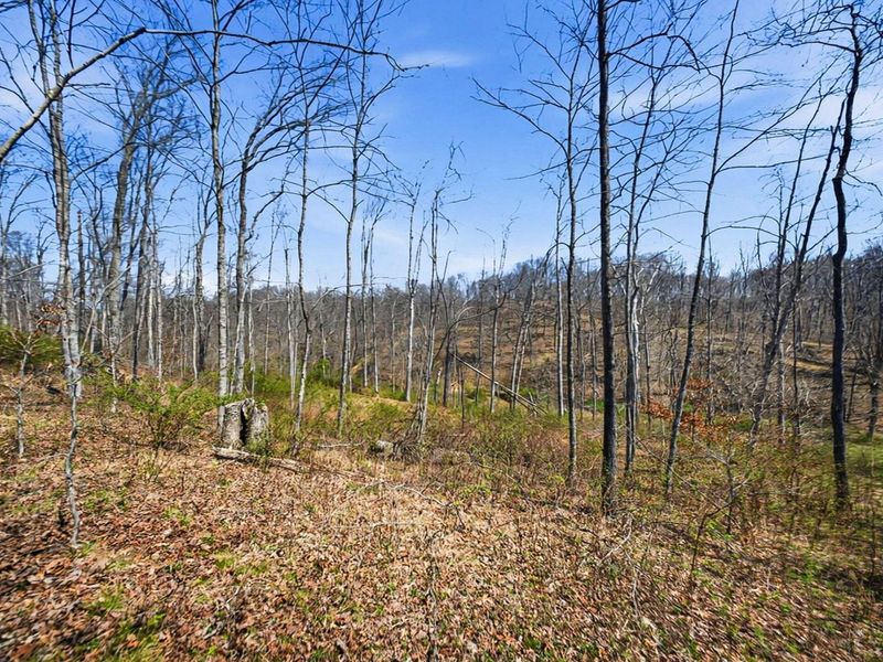 5123 State Route 13 SE, Corning, OH 43730 Photo 113