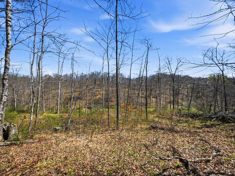 5123 State Route 13 SE, Corning, OH 43730 Photo 114