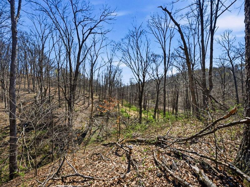 5123 State Route 13 SE, Corning, OH 43730 Photo 115