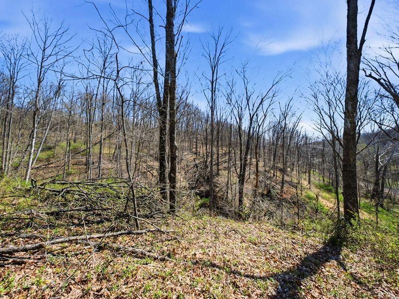 5123 State Route 13 SE, Corning, OH 43730 Photo 116