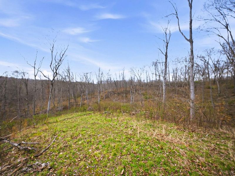 5123 State Route 13 SE, Corning, OH 43730 Photo 78