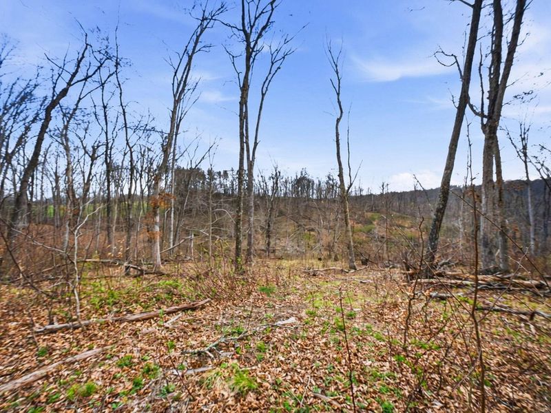 5123 State Route 13 SE, Corning, OH 43730 Photo 79