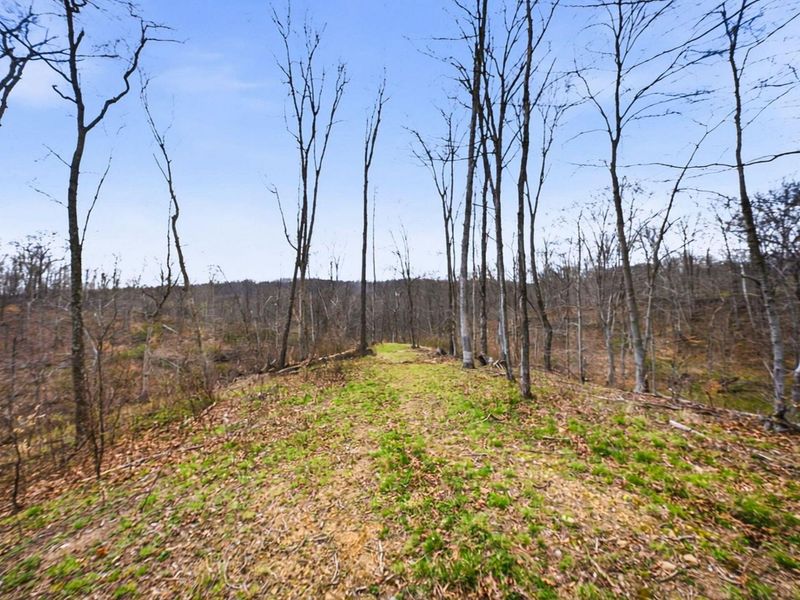 5123 State Route 13 SE, Corning, OH 43730 Photo 80