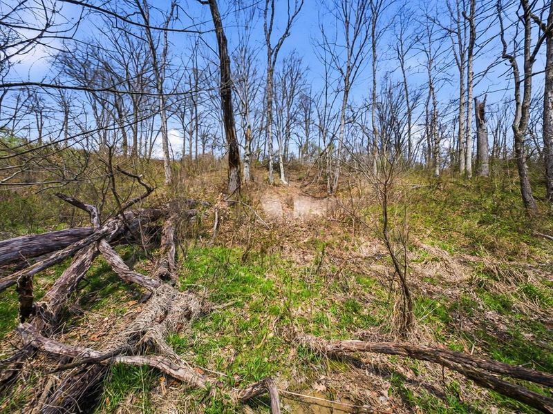 5123 State Route 13 SE, Corning, OH 43730 Photo 81